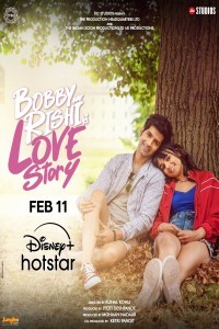 Bobby Aur Rishi Ki Love Story (2025) Bollywood Hindi Movie